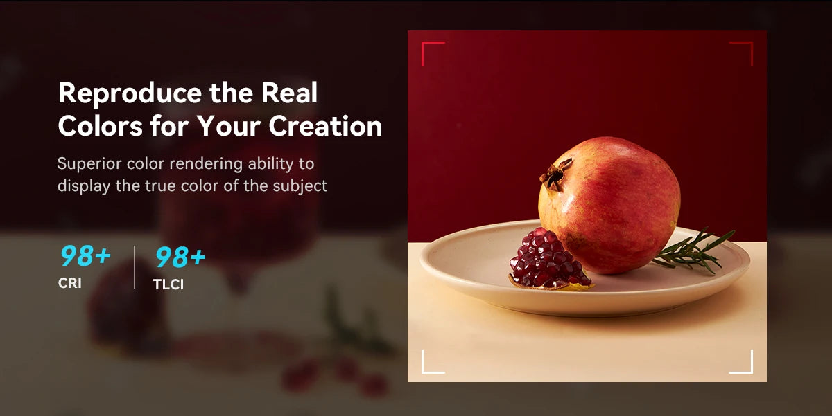 SmallRig RM120 RGB Video Light Portable Studio Photo Light Camera Light for Photography 2500K ~ 8500K 3808